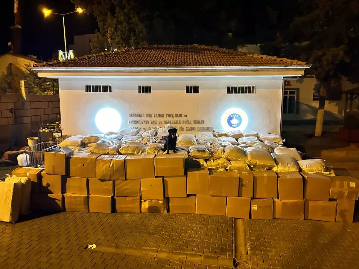 Gaziantep’te 11 Ton Kaçak Tütün Ele Geçirildi
