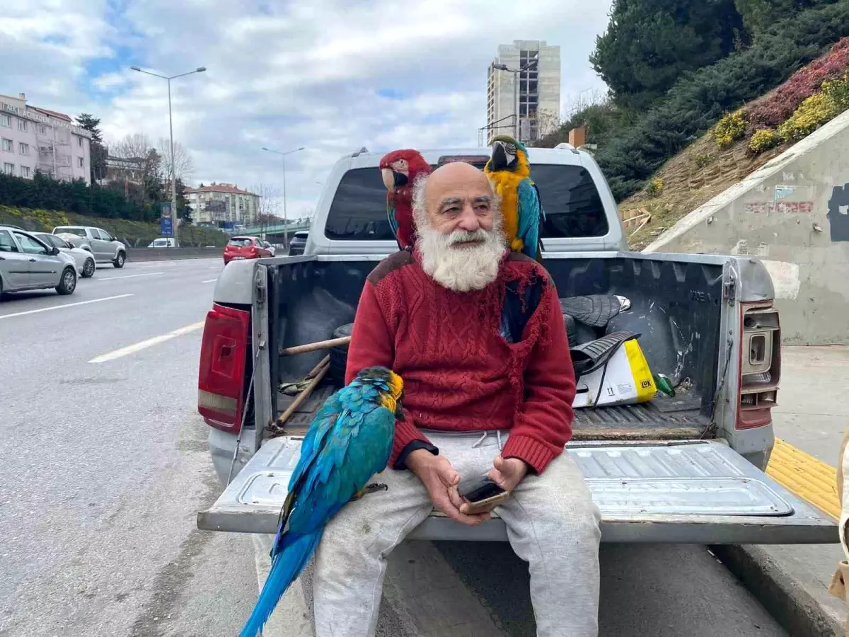 Papağanlı Amca Beykoz’un Gözdesi